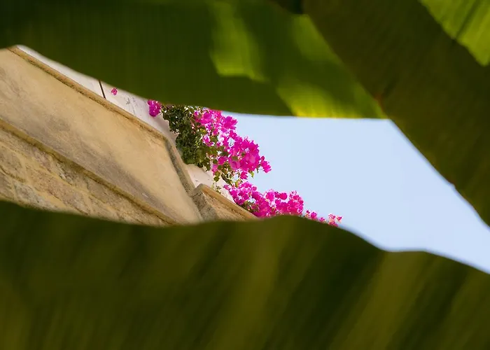 Lägenhet El Rhodian Villa Rhodes City